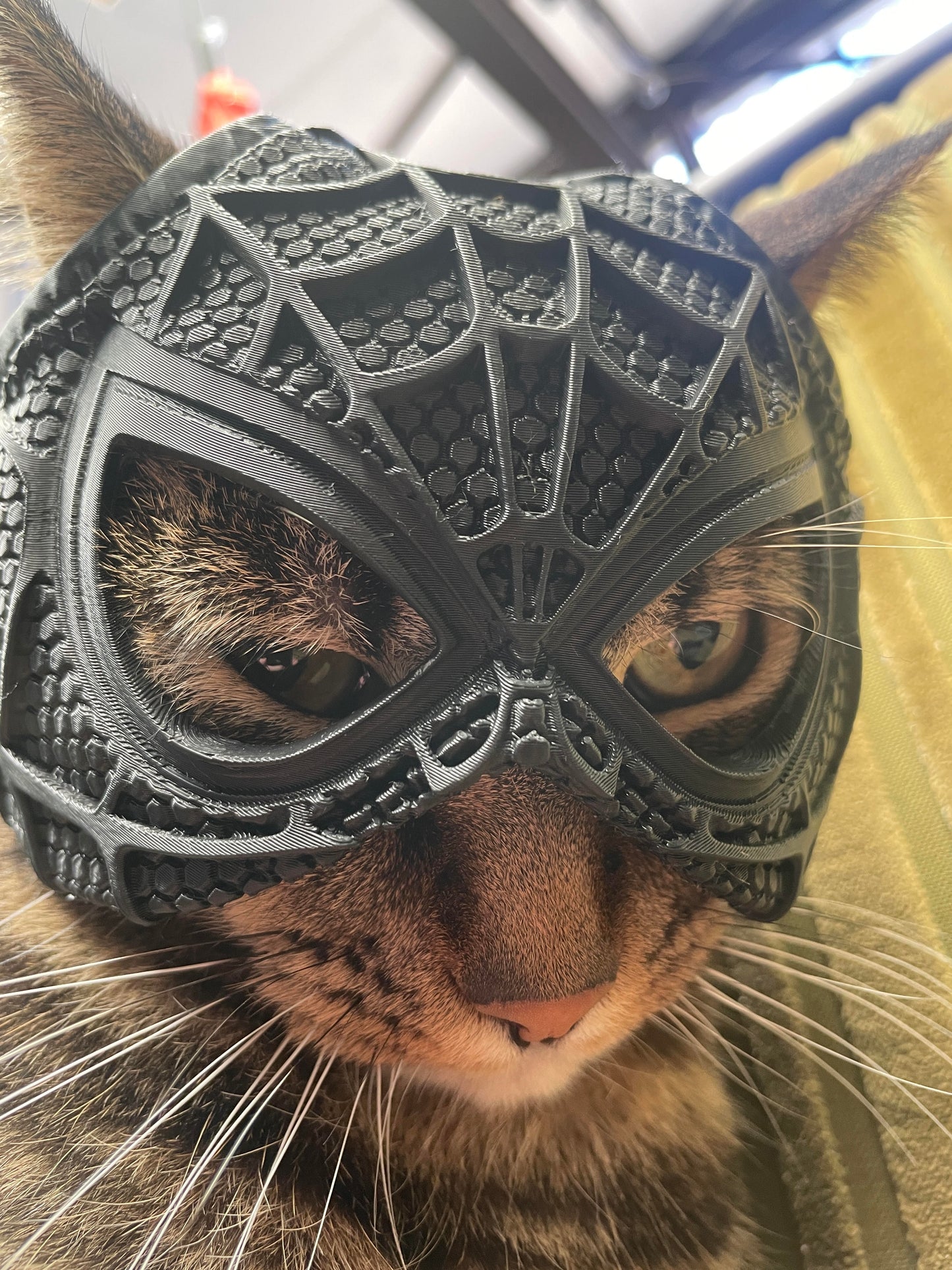 SPIDER MASK!